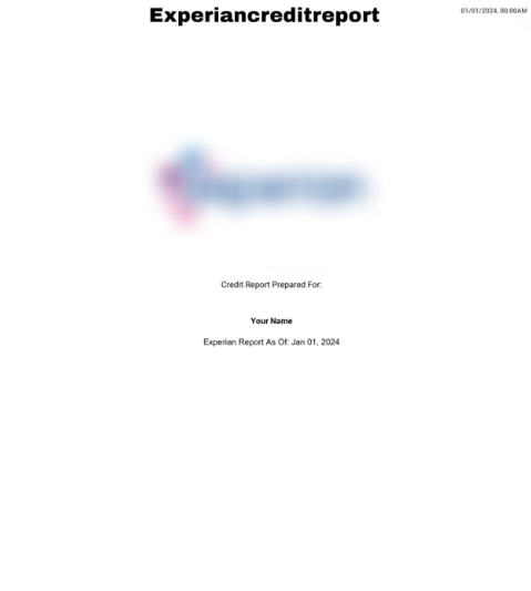 Credit Report Templates