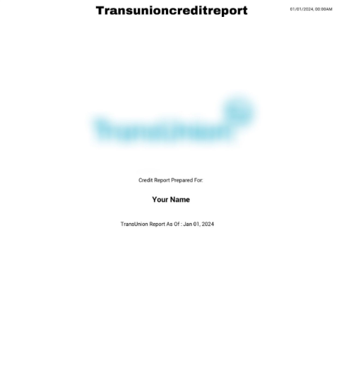 Credit Report Templates